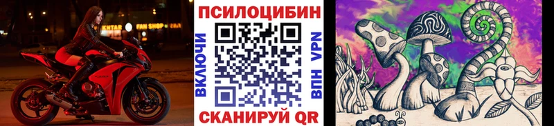 цены наркотик  Пятигорск  Псилоцибиновые грибы ЛСД 